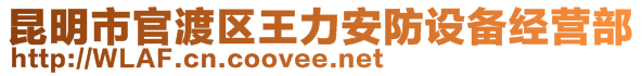 昆明市官渡區(qū)王力安防設(shè)備經(jīng)營部