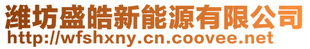 濰坊盛皓新能源有限公司