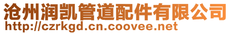 滄州潤(rùn)凱管道配件有限公司
