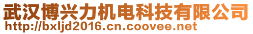 武漢博興力機(jī)電科技有限公司