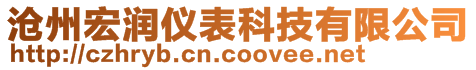 滄州宏潤儀表科技有限公司
