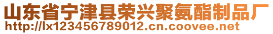 山東省寧津縣榮興聚氨酯制品廠