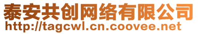 泰安共創(chuàng)網(wǎng)絡(luò)有限公司