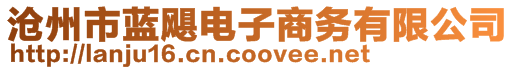 滄州市藍(lán)颶電子商務(wù)有限公司