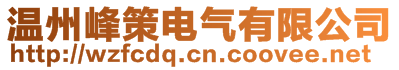 溫州峰策電氣有限公司