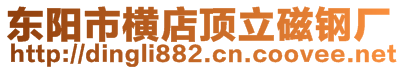 東陽市橫店頂立磁鋼廠