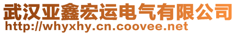 武漢亞鑫宏運(yùn)電氣有限公司