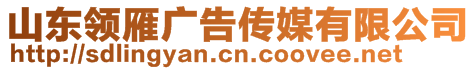 山東領(lǐng)雁廣告?zhèn)髅接邢薰? style=