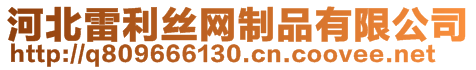 河北雷利絲網(wǎng)制品有限公司