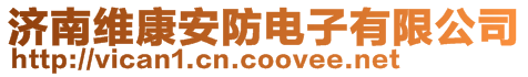 济南维康安防电子有限公司