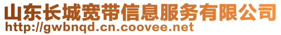山東長城寬帶信息服務有限公司