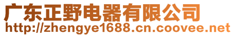 廣東正野電器有限公司