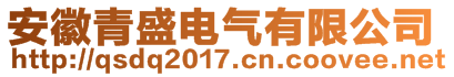 安徽青盛電氣有限公司