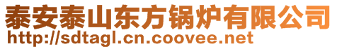 泰安泰山東方鍋爐有限公司