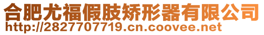 合肥尤福假肢矯形器有限公司