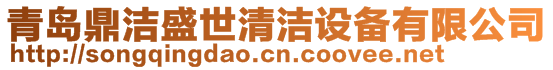 青島鼎潔盛世清潔設備有限公司