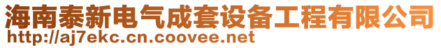 海南泰新电气成套设备工程有限公司