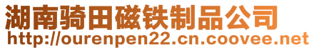 廣東省佛山市森德磁性材料有限公司