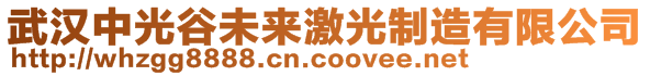 武漢中光谷未來激光制造有限公司