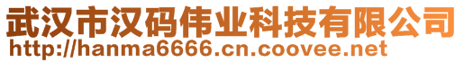 武漢市漢碼偉業(yè)科技有限公司