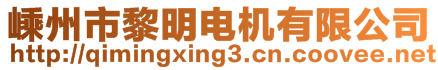 嵊州市黎明電機有限公司