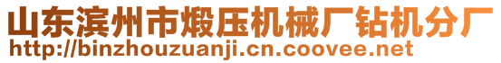 山東濱州市煅壓機(jī)械廠鉆機(jī)分廠