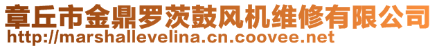 章丘市金鼎羅茨鼓風機維修有限公司