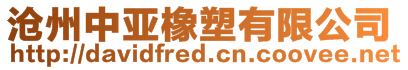 滄州中亞橡塑有限公司