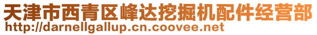 天津市西青區(qū)峰達(dá)挖掘機(jī)配件經(jīng)營(yíng)部