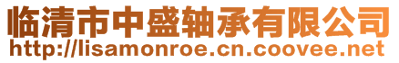 臨清市中盛軸承有限公司