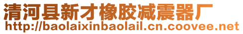 清河縣新才橡膠減震器廠