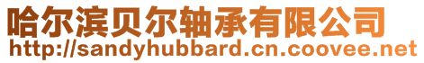 哈尔滨贝尔轴承有限公司