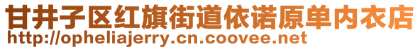 甘井子區紅旗街道依諾原單內衣店