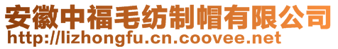 安徽中福毛紡制帽有限公司