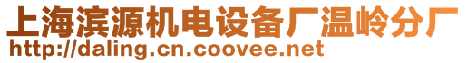 上海濱源機(jī)電設(shè)備廠溫嶺分廠