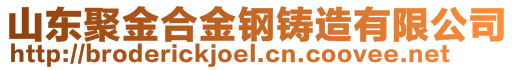 山東聚金合金鋼鑄造有限公司