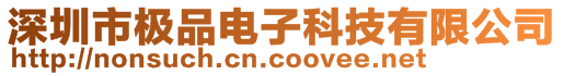 深圳市極品電子科技有限公司