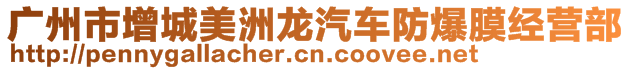 廣州市增城美洲龍汽車防爆膜經(jīng)營(yíng)部