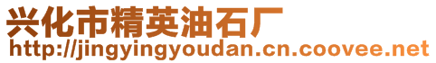 興化市精英油石廠