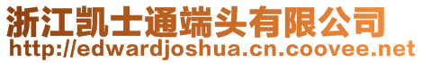 浙江凱士通端頭有限公司