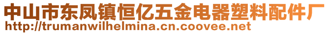 中山市东凤镇恒亿五金电器塑料配件厂