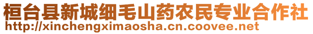 桓臺縣新城細毛山藥農(nóng)民專業(yè)合作社