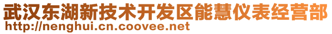 武漢東湖新技術(shù)開發(fā)區(qū)能慧儀表經(jīng)營部