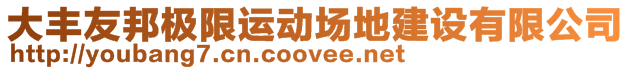 大豐友邦極限運動場地建設有限公司