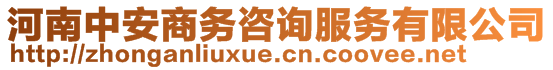 河南中安商務(wù)咨詢服務(wù)有限公司