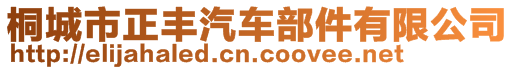 桐城市正豐汽車部件有限公司