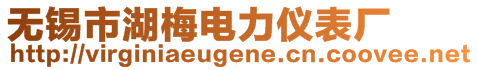 無錫市湖梅電力儀表廠