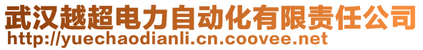 武汉越超电力自动化有限责任公司