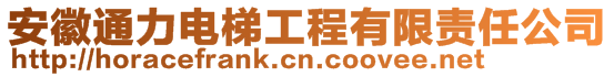 安徽通力電梯工程有限責任公司