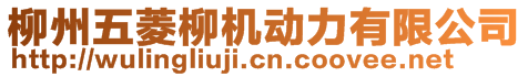 柳州五菱柳機(jī)動(dòng)力有限公司